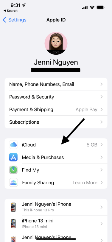 Screenshot of iPhone Settings menu, with arrow pointing to "iCloud."