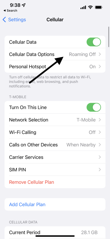 Screenshot of iPhone Settings menu, with arrow pointing to "Cellular Data Options."